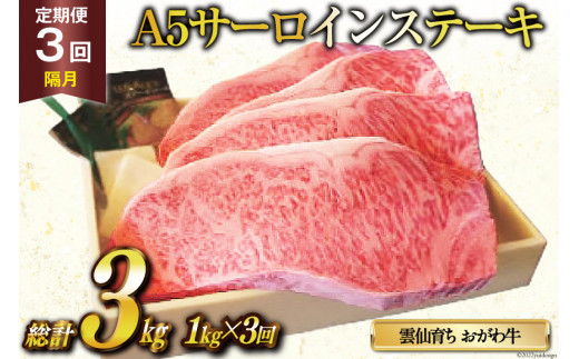 
定期便 3回 牛肉 雲仙育ち おがわ牛 A5 サーロインステーキ 総計3kg(1kg×3回) ステーキ 黒毛和牛 冷凍 / 焼肉おがわ / 長崎県 雲仙市
