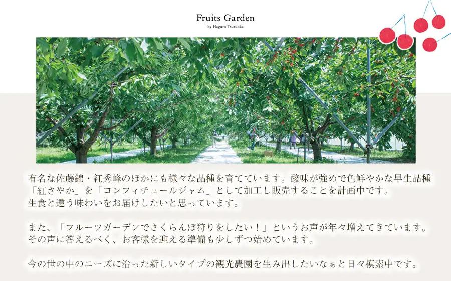 さくらんぼ 紅秀峰 バラ詰め L～2Lサイズ 1kg(500g×2) 山形県鶴岡市産 令和9年産 フルーツガーデン