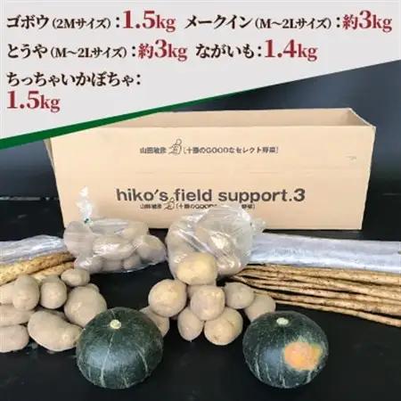 冬の味覚 野菜4種セット B 計10.4kg 北海道十勝帯広産_野菜 じゃがいも いも ジャガイモ 馬鈴薯  野菜  根菜   野菜 かぼちゃ  カボチャ 南瓜_【配送不可地域：離島】【1497191