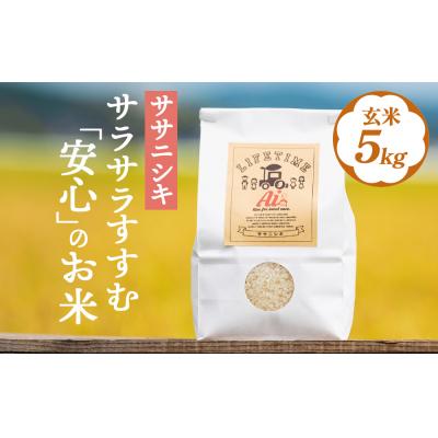 ふるさと納税 石巻市 ササニシキ 玄米 5kg 米 化学肥料不使用 お米 コメ こめ