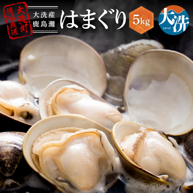 【ふるさと納税】 大洗産鹿島灘天然はまぐり 5kg 冷蔵 お吸い物 ハマグリ 蛤 貝 砂抜き処理 魚介類 大洗産 天然 はまぐり