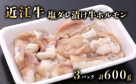 特選近江牛ホルモン（塩だれタレ漬け）200g×３　計600g《近江牛A5ランクメス牛一頭買い みのや》