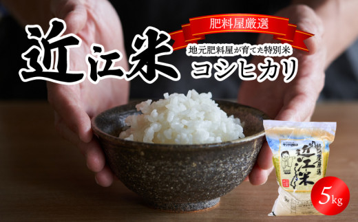 【令和7年度産】肥料屋厳選近江米コシヒカリ５㎏  モリタ肥料店 お米  肥料屋 厳選 近江米  DI-0003