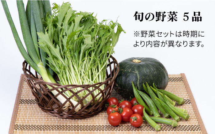 《A4～A5ランク》壱岐牛ロースすき焼き・野菜セット(ロース・肩ロース各200g/旬の野菜5品) [JBO038]