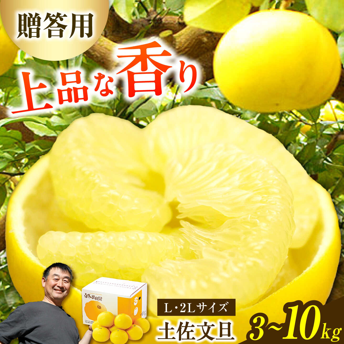 【ふるさと納税】【先行予約】【選べる内容量】【果樹園直送】土佐文旦特選品贈答用 約3〜10kg L〜2L 〈2027年2月中旬〜3月中旬頃発送〉果物 柑橘 フルーツ ぶんたん ブンタン 文旦 高知県土佐市 お取り寄せ 産地直送 高知県土佐市【白木果樹園】[BQAI007]