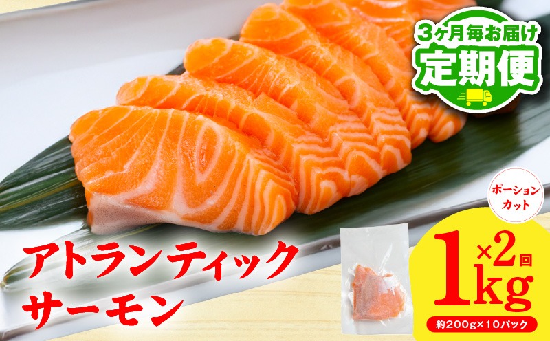 G3738 【定期便】アトランティックサーモン 1kg 全2回【2026年3月＆2026年6月発送 小分け 200g×5P 柵切り 刺身 魚介 海鮮 さーもん 生食】