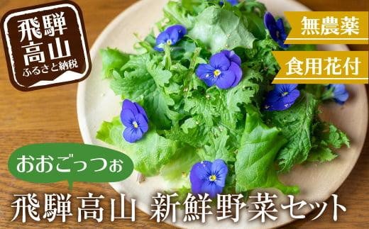 
飛騨高山野菜『おおごっつぉ』詰合せ 葉物野菜 葉物 ミックスリーフ わさびな フラワーサラダ 無農薬野菜 無農薬 HS001
