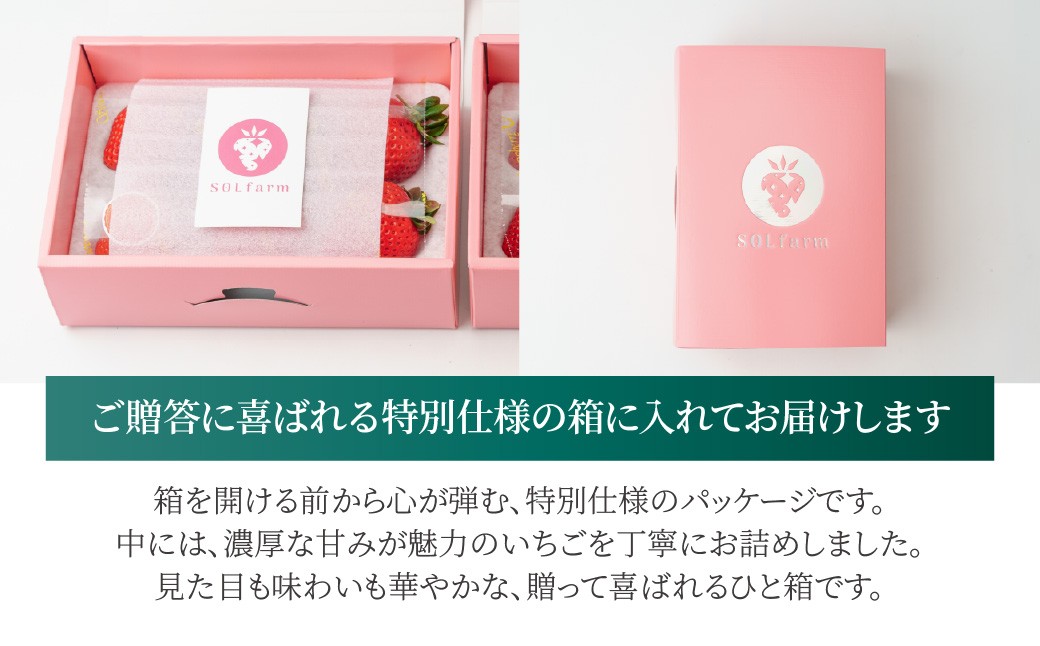 いちご【先行予約】あまりん 2パック 約500g