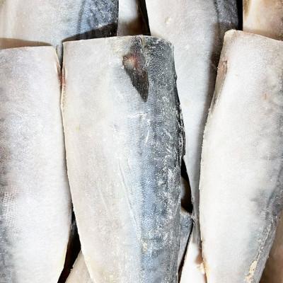 ふるさと納税 美浜町 塩さばフィレ2kg |  | 03