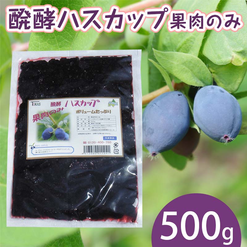 【ふるさと納税】醗酵ハスカップ果肉のみ 500g EB8-0379