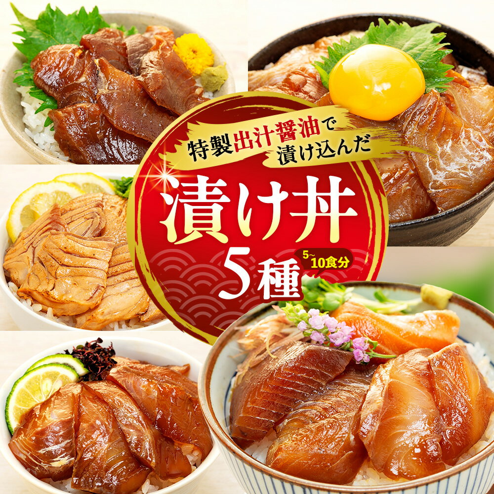 【ふるさと納税】 漬け丼5種セット5~10食分 (各90g) 特製 出汁 醤油 漬け込んだ 【配送不可地域：離島】
