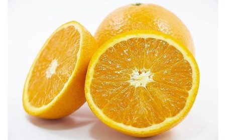 【2026年3月中旬から発送】 きよみ＜秀品＞約5kg【KK0251_x】