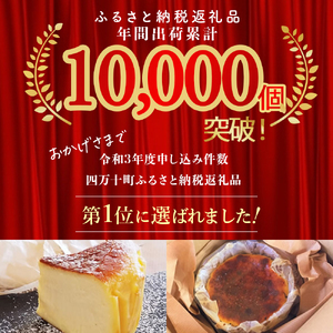 【定期便-6回お届け】バスクチーズケーキ ～四万十の米粉入り～ ／Sbmu-B59