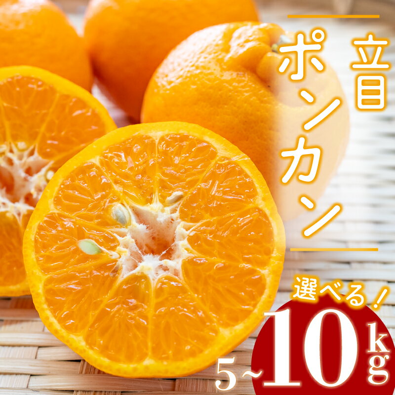 【ふるさと納税】 【 2025年1月より発送 】 特上品 贈答用 訳あり ぽんかん 5kg 10kg 大小混合品 アリ 高知県産 立目ぽんかん 果物 フルーツ ポンカン 柑橘 みかん ミカン 有機肥料 主体 低農薬 早期予約 ふるさと納税ぽんかん ふるさと納税みかん ふるさと納税柑橘