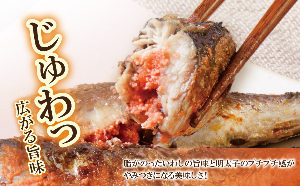 いわし明太 9尾
