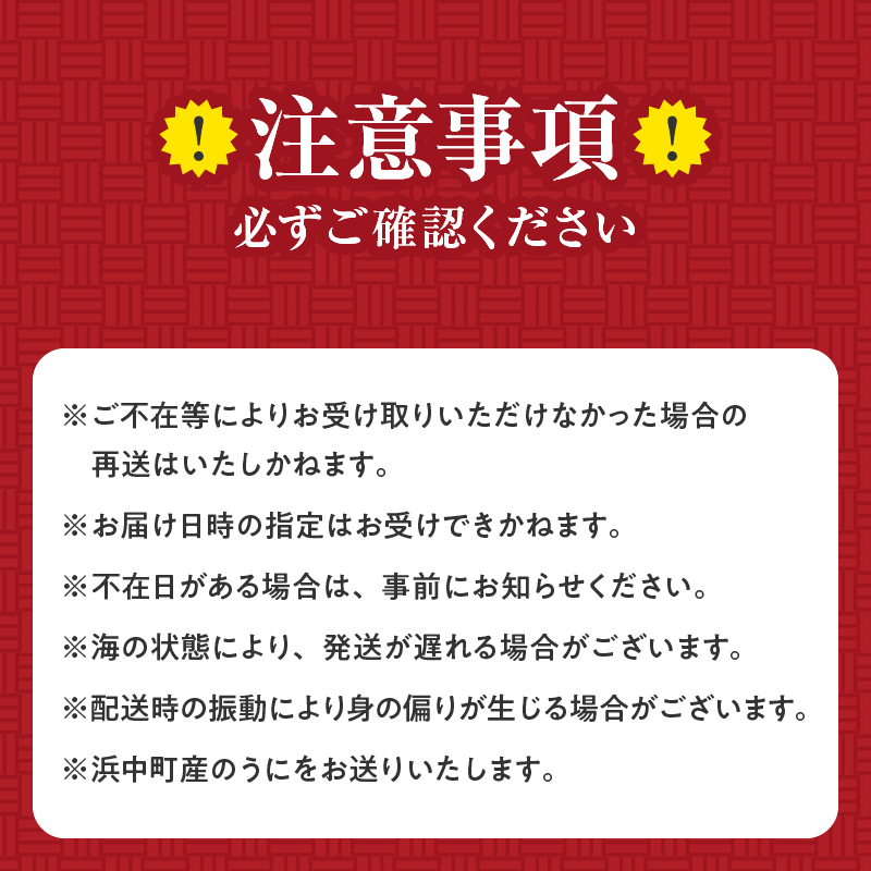 ≪氷温熟成≫塩水うに(天然バフンウニ)　100g×1パック_H0009-108