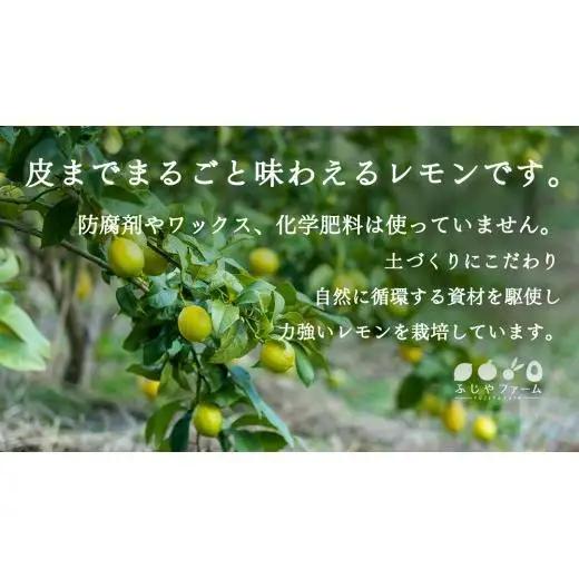 お試し 1kg オーガニック 瀬戸内レモン 【2027年 1月 ? 5月 出荷】 先行予約