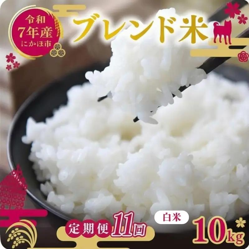 【定期便11か月】白米 ブレンド米 10kg  令和7年度産 白米