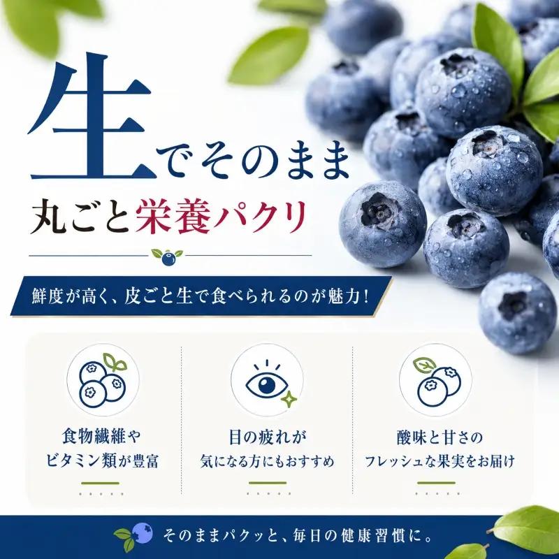 ブルーベリー 3Lサイズ 150g×5 大粒 生ブルーベリー 藤与果樹園 fujiyoB003
