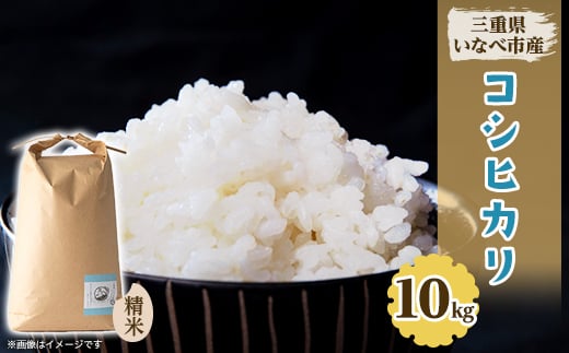 
            令和7年産　コシヒカリ 10kg【1431742】
          