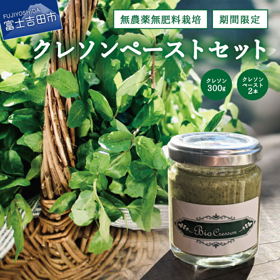 【ふるさと納税】 クレソン 300g ビオクレソンペースト 2本 セット 野菜 サラダ 食品添加物不使用 期間限定