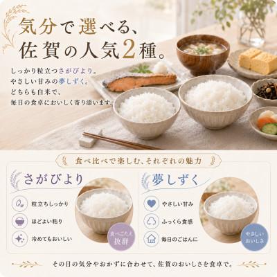 ふるさと納税 江北町 令和7年産さがびより10kg、夢しずく10kg【白米 計20kg】お米マイスター厳選!(江北町) |  | 01