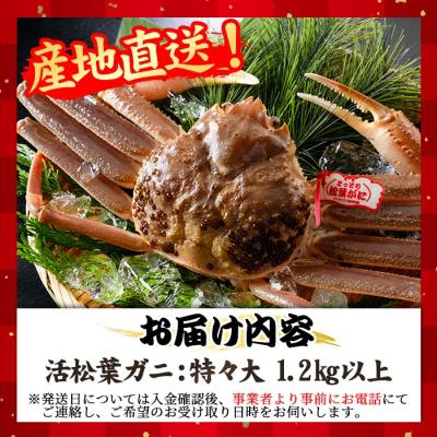 ふるさと納税 境港市 活松葉ガニ 特々大(1.2kg以上)【11月中旬〜3月中旬配送】 |  | 03