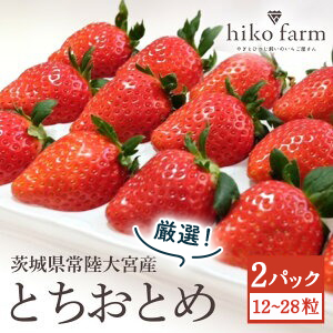 【期間限定】ごほうびいちご（厳選とちおとめ）2パック入り（12～28粒）黒パッケージ いちご イチゴ 苺 とちおとめ フルーツ 果物 くだもの デザート 期間限定 【hiko farm（ヒコファーム）】【ho1571】