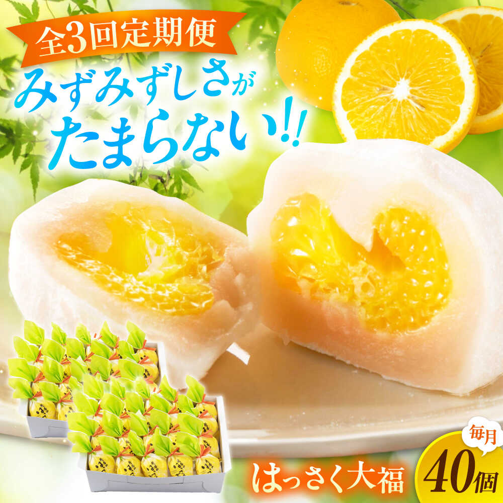 【ふるさと納税】【3回定期便】お菓子 はっさく大福 20個入×2　 お菓子 大福 八朔 柑橘 みかん はっさく オレンジ 餅 ギフト お取り寄せ スイーツ フルーツ大福 ご当地 菓子 おかし デザート 食品 人気 おすすめ 広島県福山市/株式会社虎屋本舗[BADH034]