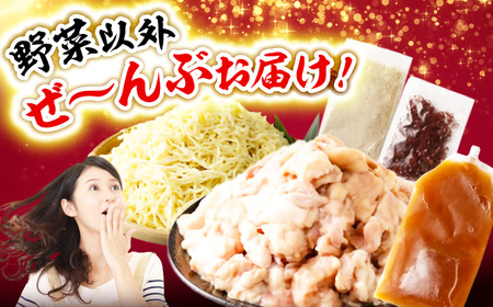 国産もつ入りミックスもつ鍋（白醤油）3人前セット 広川町 / 株式会社POWER EAST CONNECTION[AFAZ048]