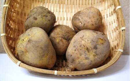 【３ヶ月 定期便】【野菜ソムリエ選定】 肥前の国のお野菜定期便 新鮮 採れたて 野菜 直売所 野菜 8～10品目 D-77