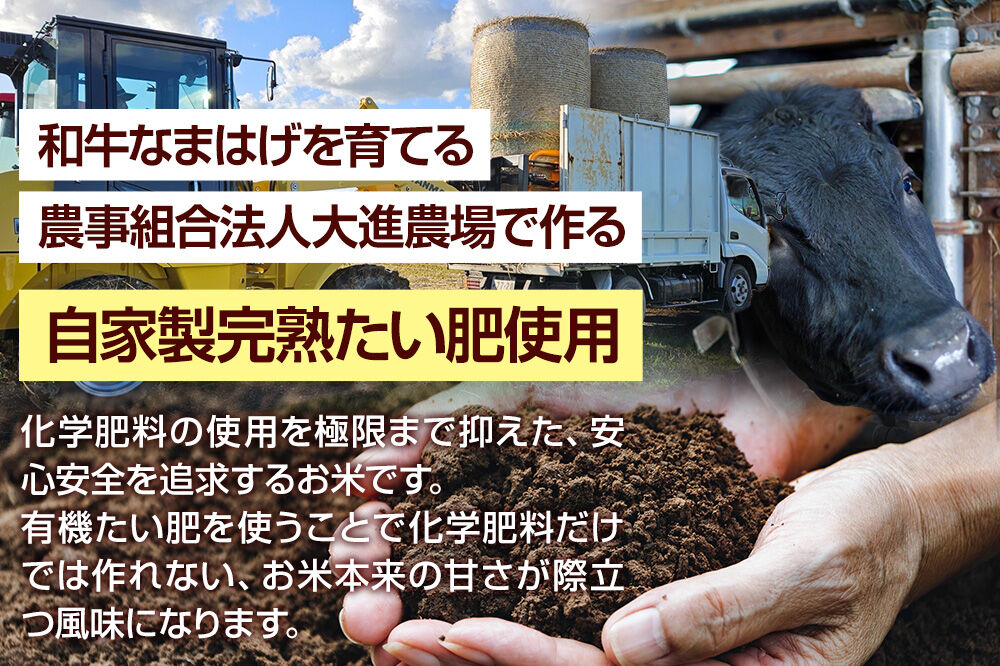 ミルキークイーン （精米） 5kg（5kg×1袋） ＜令和8年産 新米受付＞ 大進農場 秋田県 男鹿市 [新米 先行受付 ミルキークイーン お米 白米 米どころ 秋田 秋田県産 男鹿市]