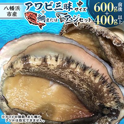 ふるさと納税 八幡浜市 八幡浜発!竹中水産の「アワビ三昧、中サイズ」600g(鯛もしくはアジとセット)【H22-213】