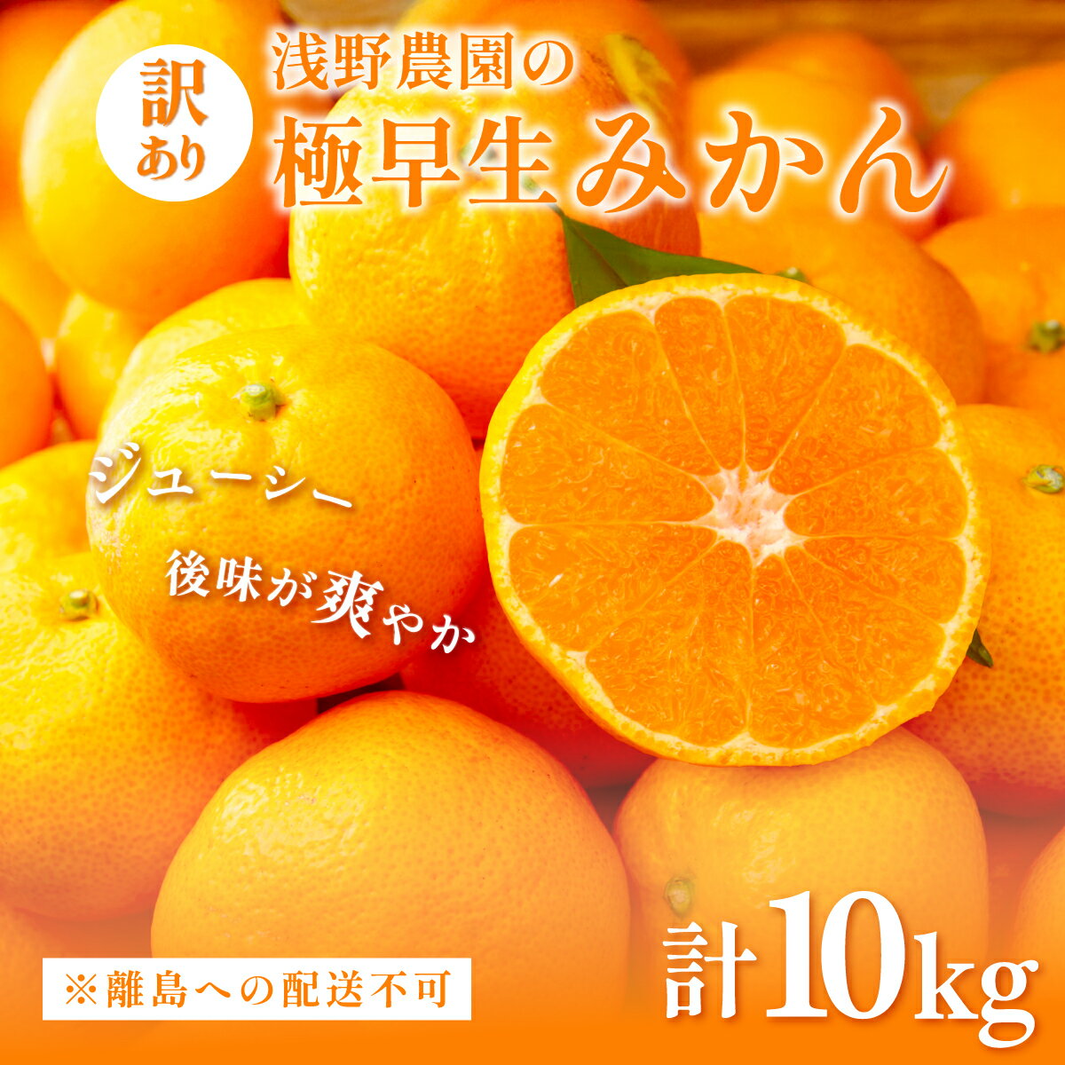 【ふるさと納税】【先行予約】浅野農園の極早生みかん 訳あり10kg ※着日指定不可 ※離島への配送不可（2025年10月上旬～11月中旬頃に順次発送） 【 ふるさと納税 人気 おすすめ ランキング みかん 柑橘 ミカン 果物 オレンジ 訳あり 愛媛県 伊方町 送料無料 】 IKTAC001