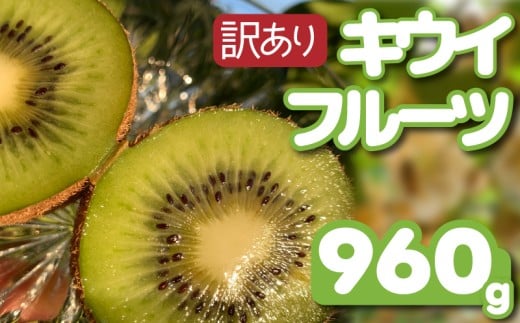 【先行予約】【12月上旬~順次発送】 訳あり キウイフルーツ 960g 腸活 グリーンキウイ 健康 甘い キウイ フルーツ 無選別 みつばちキウイ 規格外 デザート 果物 くだもの 国産 愛知県 南知多町 【配送不可地域：北海道 青森 秋田 岩手 沖縄 離島】
