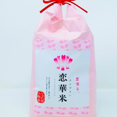 【ふるさと納税】米 5kg れんげ栽培 恋華米 精米 コメ 白米