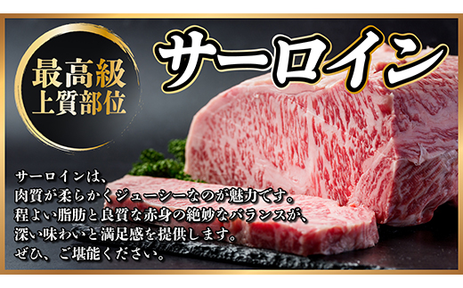 飛騨牛　ステーキ2種食べ比べセット　計約1.2kg【配送不可地域：離島】