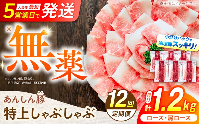 
            【12回定期便】岐阜県産 白川町産 豚肉 しゃぶしゃぶ用 計 14.4kg 豚 ロース 肩ロース しゃぶしゃぶ セット ギフト 贈り物 冷凍 小分け 15万5千円 155000円 岐阜県 白川町 / 藤井ファーム  [AWAF012]
          