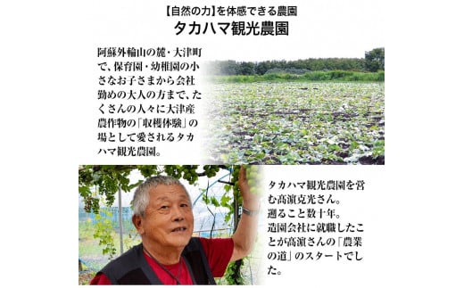 大津町産 タカハマ観光農園の紅はるか 約5kg《12月中旬-4月末頃出荷》 さつまいも 芋 スイートポテト 干し芋にも---so_tkhmbni_bc124_23_9500_5kg---