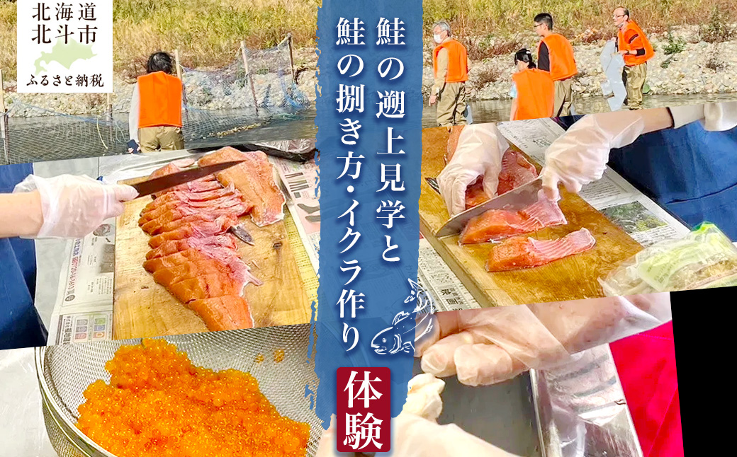 【ANA限定】10月限定? 鮭の遡上見学と鮭の捌き方・イクラ作り体験 HOKAP003