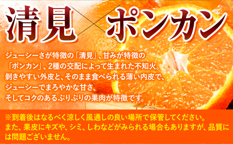 【先行予約】紀州有田産不知火( デコポン と同品種 ) 内容量 約 2.5kg 株式会社魚鶴商店《2027年2月中旬-3月中頃より出荷予定》 和歌山県 日高町 不知火 しらぬい 柑橘 ご家庭用 デコポ
