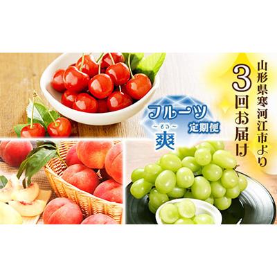 ふるさと納税 寒河江市 【発送月固定定期便】【山形の厳選果物】人気の3種 フルーツ 定期便 〜爽(そう)全3回