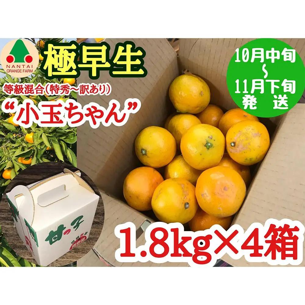 極早生 有田 みかん 小玉ちゃん 等級 混合 1.8kg × 4箱 南泰園 和歌山 有田みかん