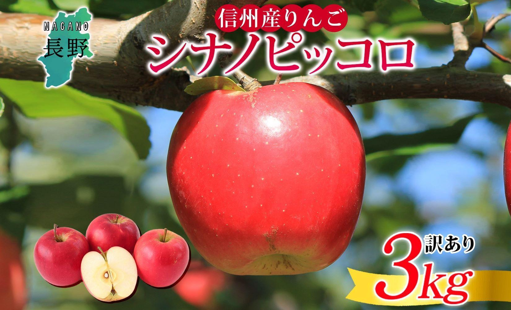 
長野県産 りんご シナノピッコロ 訳あり 約3kg リンゴ 旬 フルーツ 訳アリ 林檎 果物 規格外 自家用 産地直送 農園 産直 お取り寄せ もぎたて 採れたて 送料無料 堀田農園 信州 大町市
