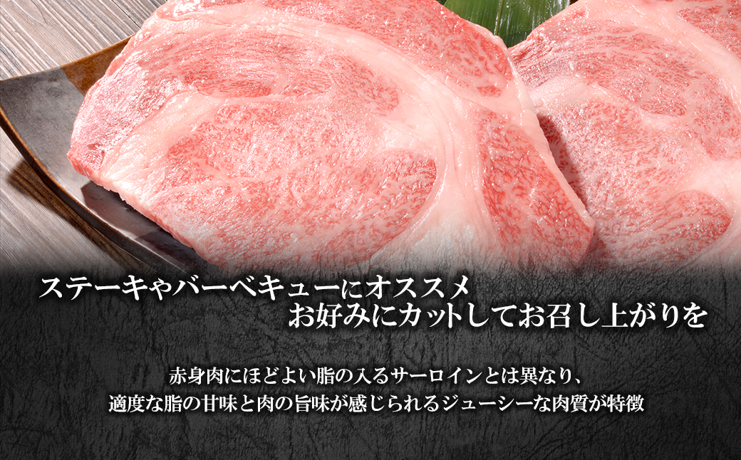 K2554 【茨城県共通返礼品】WO-29Butchers 常陸牛 リブロースステーキ 1200g(300g×4枚)