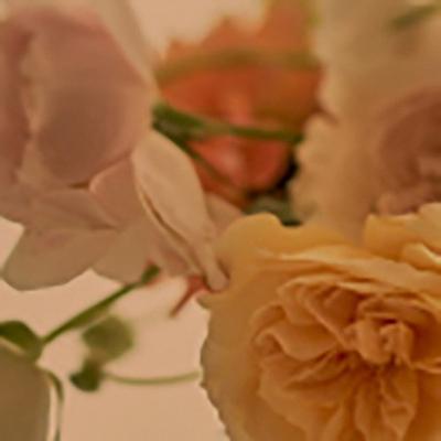 ふるさと納税 木津川市 【京都産　京織物　壁紙】京都いづみ　Miyabi-雅-(5304) |  | 02