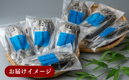 対馬 五月 真あじ 一汐干し 20枚 [WAI015] アジ 干物