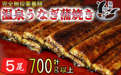 温泉うなぎ蒲焼 5尾（140gサイズ） 国産うなぎ 母の日 父の日 ＜104-009_5＞