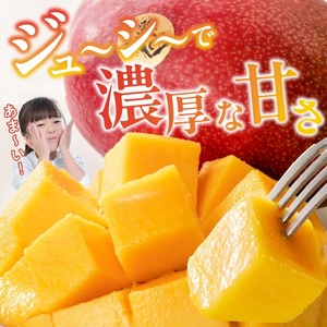 【2026年6月以降お届け】極　完熟マンゴー（2玉：約1.1kg）_完熟マンゴー 2玉 約 1.1kg 久留米産 平均糖度 17度～18度 完熟 マンゴー 国産 フルーツ トロピカルフルーツ 果物 デ