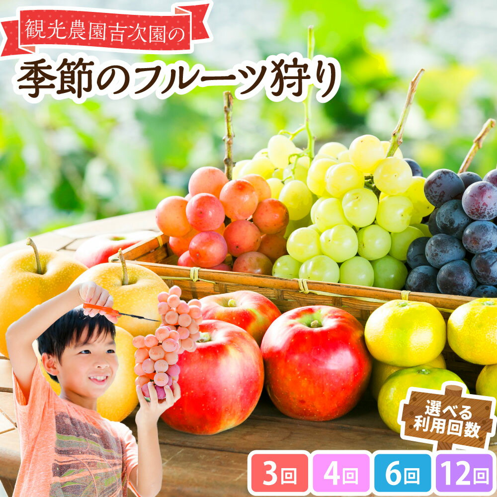 【ふるさと納税】＜選べる利用回数＞観光農園吉次園の「旬を味わうフルーツ狩りパスポート」 3回 / 4回 / 6回 / 12回 季節のフルーツ狩り 1回50分 1枚につき最大5名分 フルーツ くだもの 果物 果実 施設利用券 商品券 チケット 旅行 体験 レジャー 九州 熊本県 送料無料